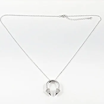 Beautiful Horseshoe CZ Silver Necklace