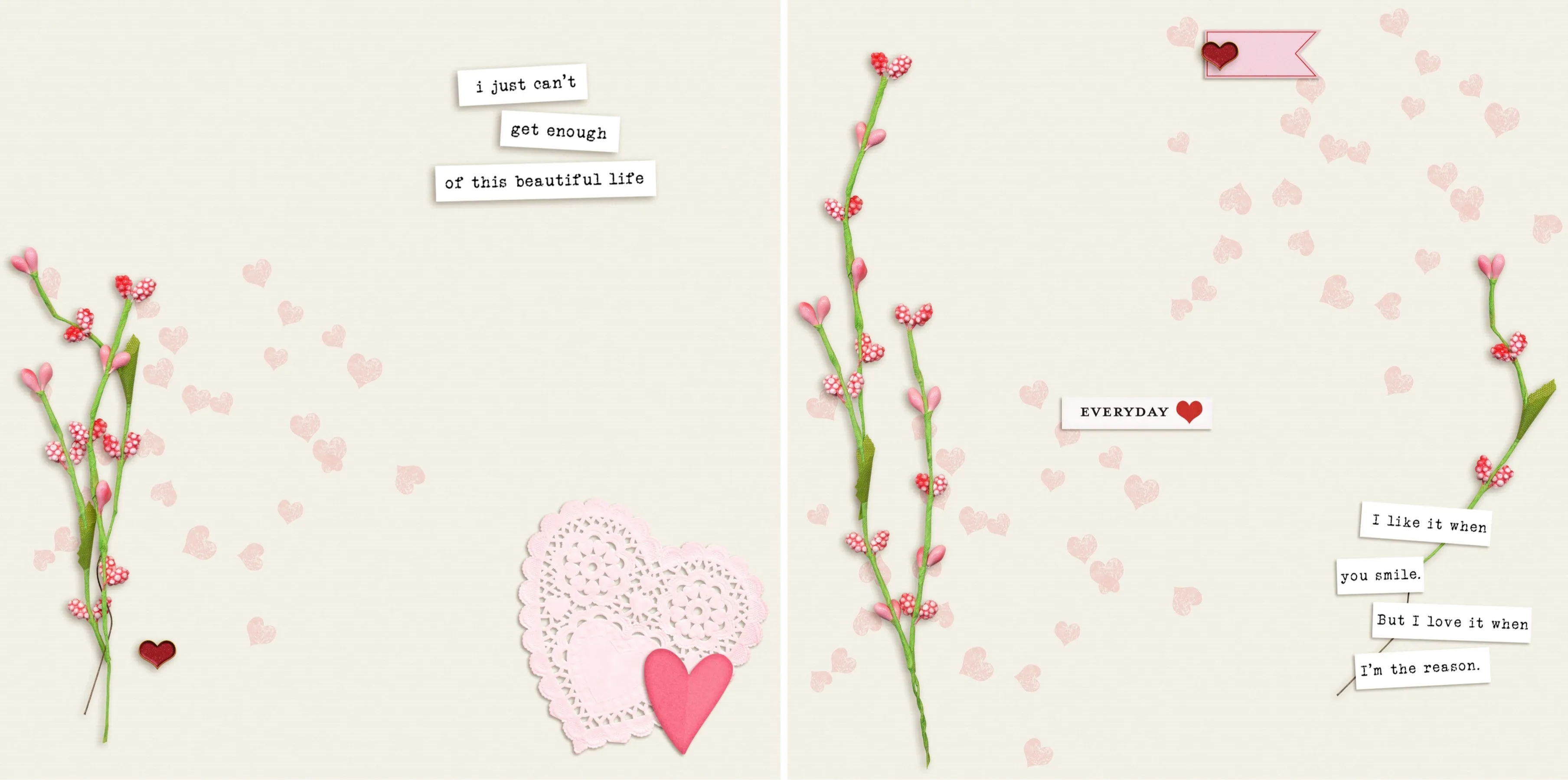 Beautiful Life NPM - 4657