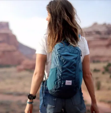 Daylite 16 Backpack