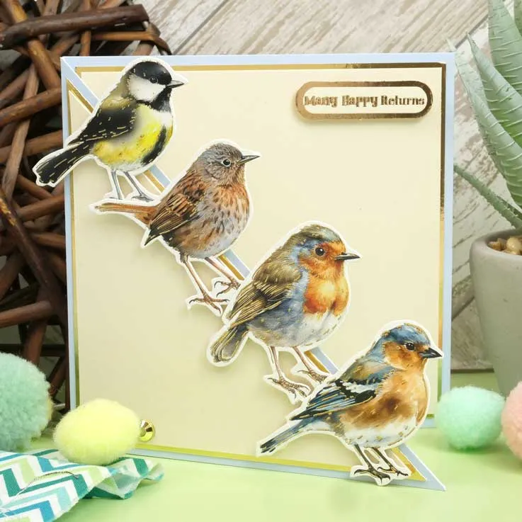 Delightful Die-Cuts - Beautiful Birds