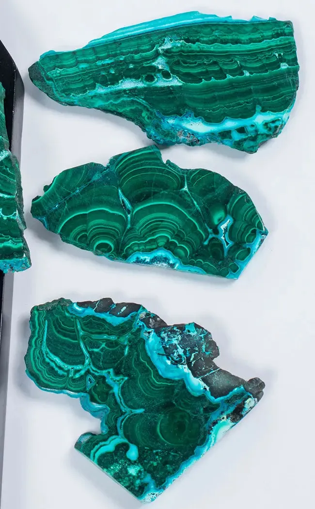 Gorgeous Banded Malacholla Slices | Malachite & Chrysocolla