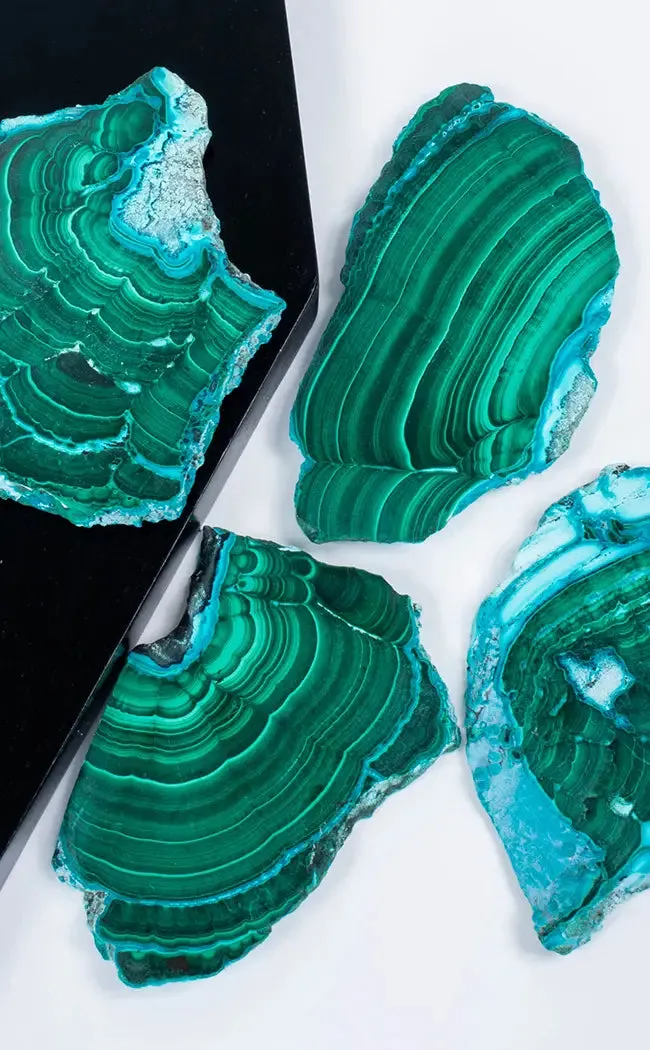 Gorgeous Banded Malacholla Slices | Malachite & Chrysocolla