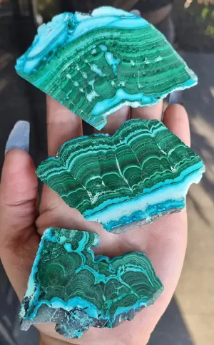 Gorgeous Banded Malacholla Slices | Malachite & Chrysocolla