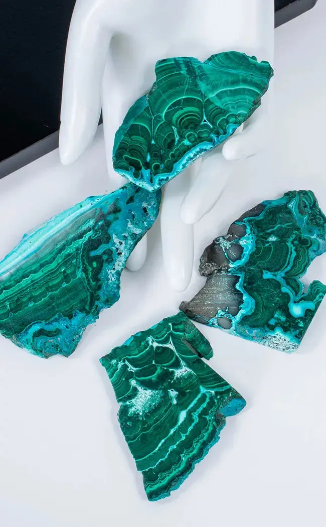 Gorgeous Banded Malacholla Slices | Malachite & Chrysocolla