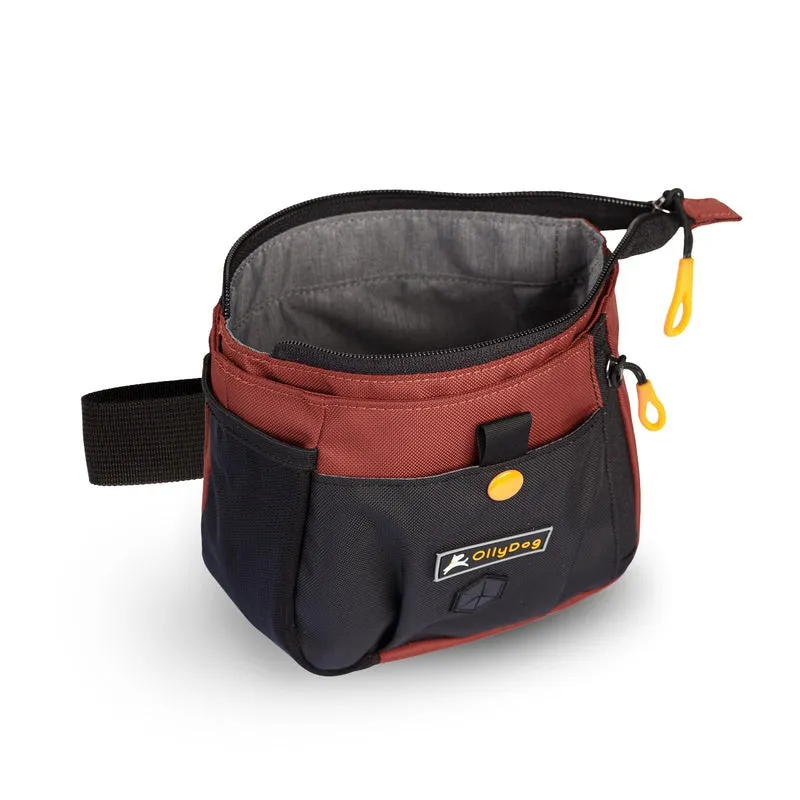 Olly Backcountry Day Bag Cider