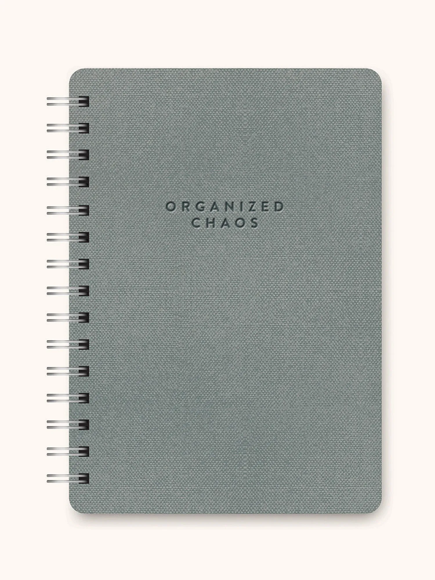 Organized Chaos (Gorgeous Gray) Agatha Notebook