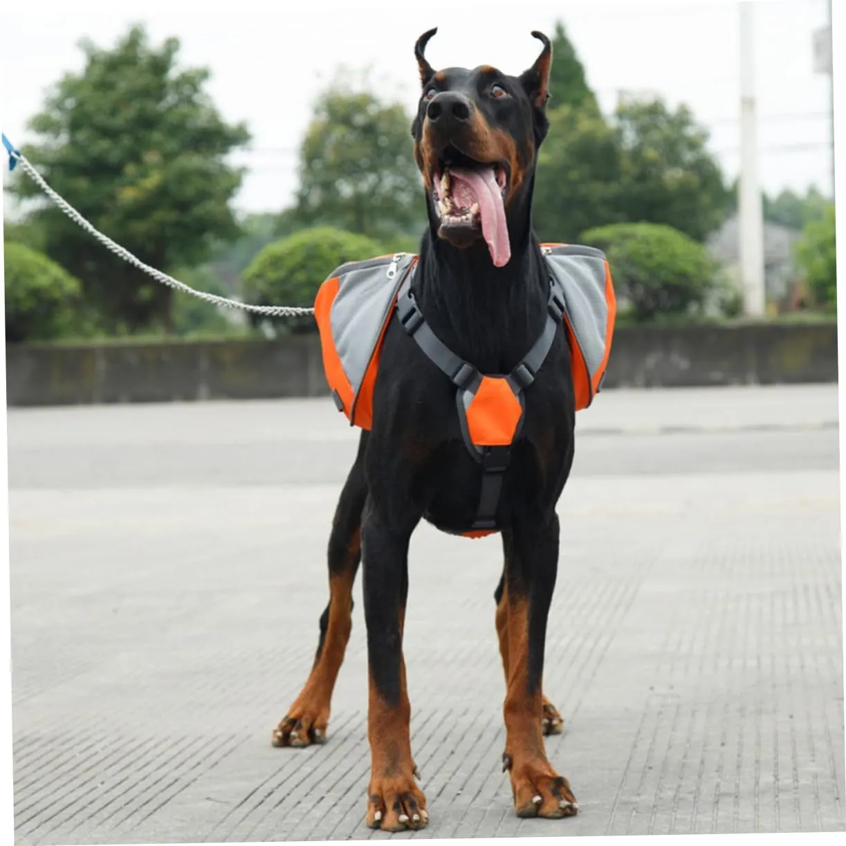 Pack Hound Puppy Walking Bag