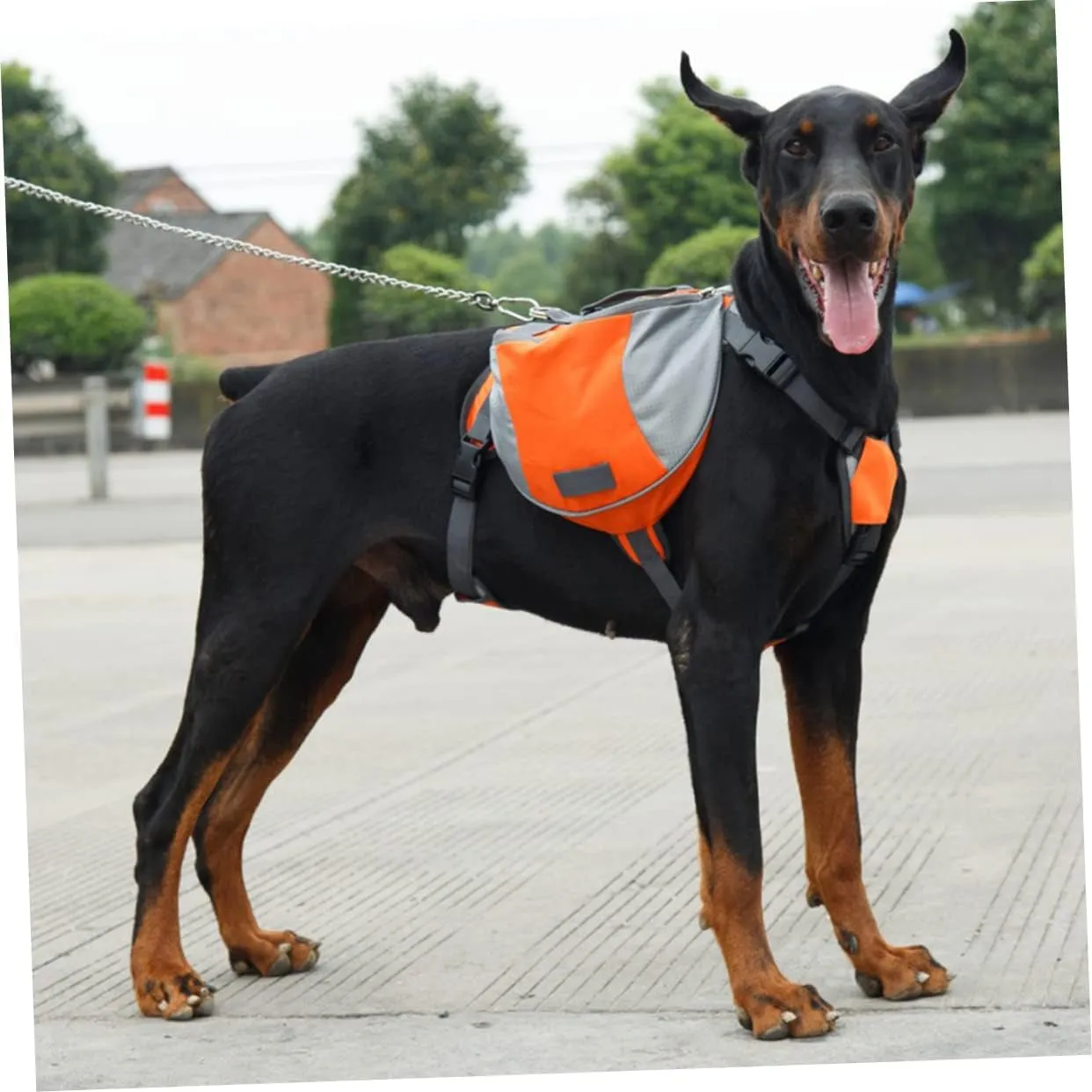 Pack Hound Puppy Walking Bag
