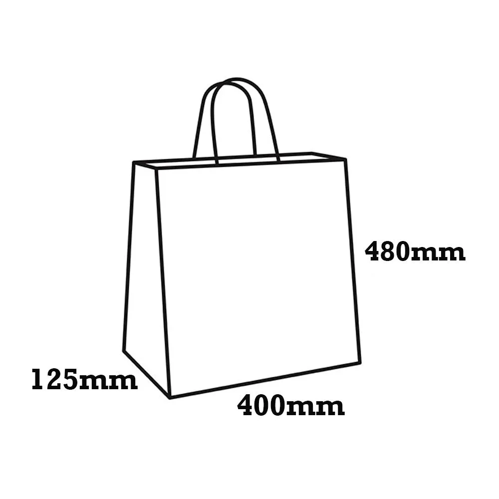 Retail Takeaway Kraft Twisted Handle Paper Bag - Large