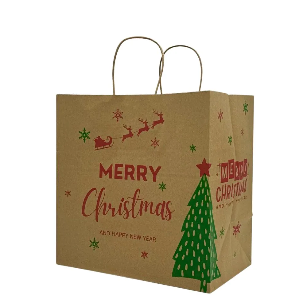 Retail Takeaway Kraft Twisted Handle Printed Paper Bag - Medium