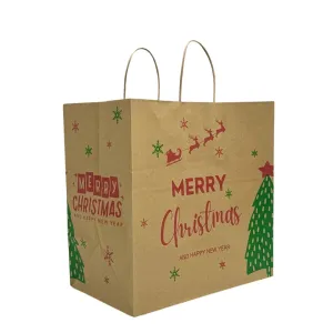 Retail Takeaway Kraft Twisted Handle Printed Paper Bag - Medium