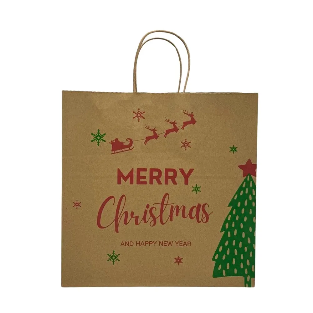 Retail Takeaway Kraft Twisted Handle Printed Paper Bag - Medium